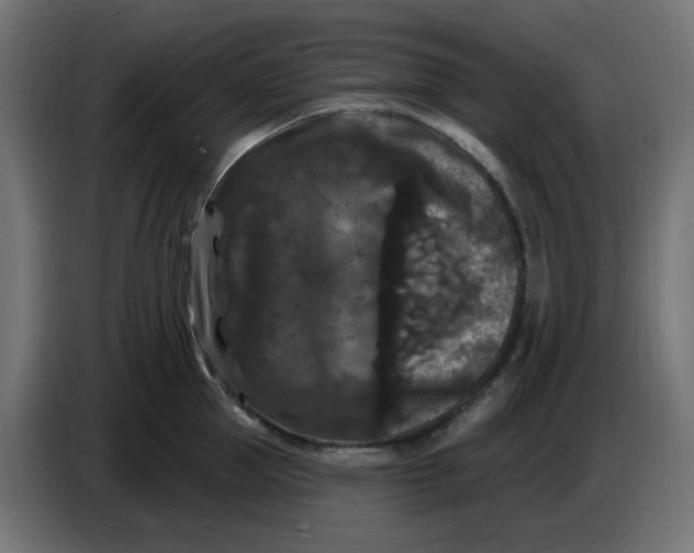 X0000086730953200705041345