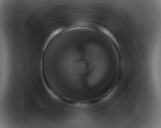 X0000086730954200705041345