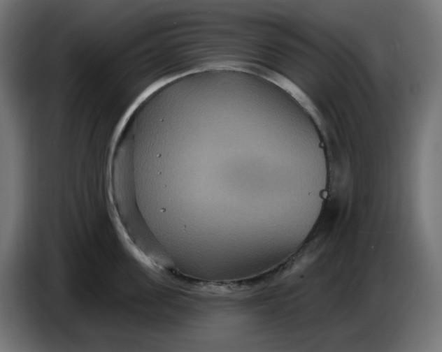 X0000086730955200705041345