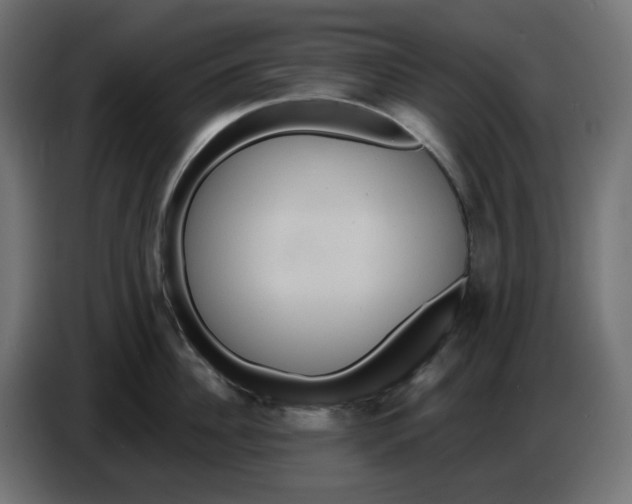 X0000086730956200705041345