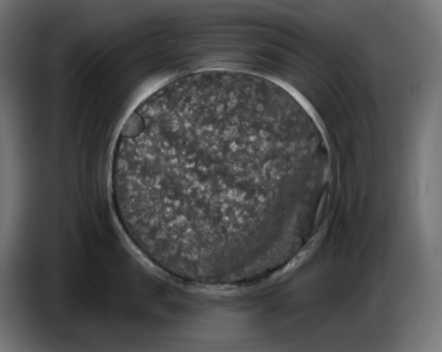 X0000086730957200705041345