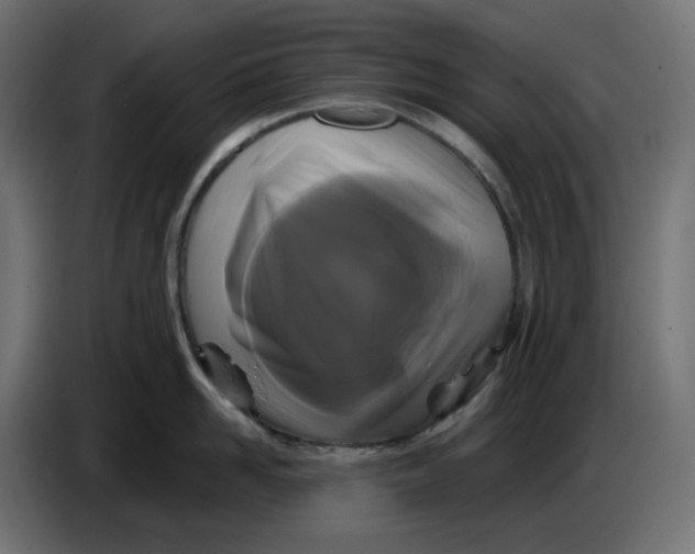 X0000086730958200705041345