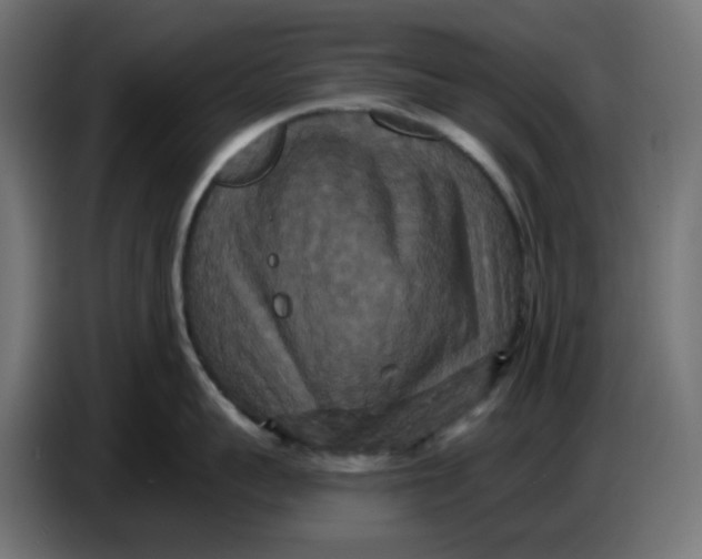 X0000086730959200705041345