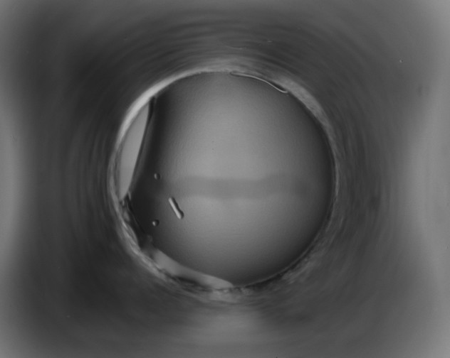 X0000086730960200705041345