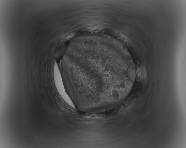 X0000086730963200705041344