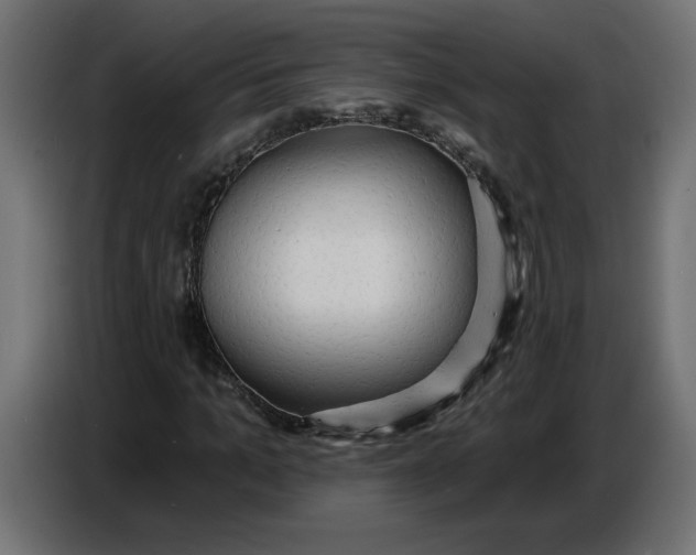 X0000086730965200705041344