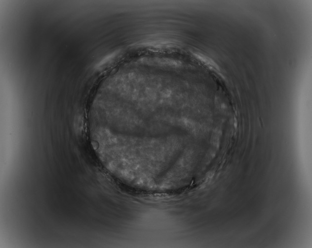 X0000086730966200705041344