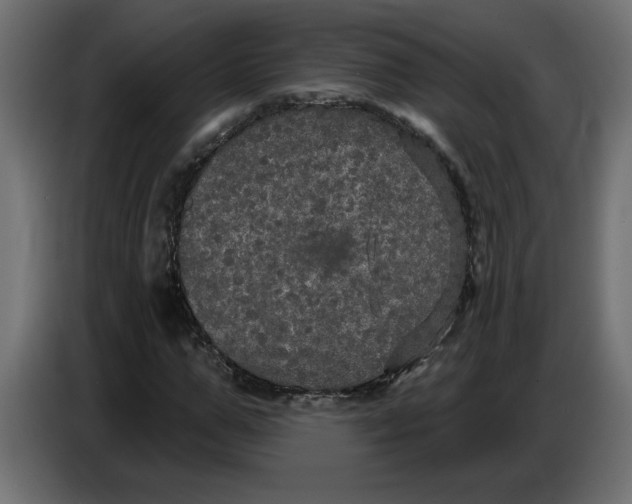 X0000086730967200705041344