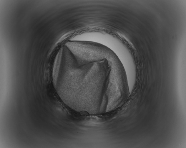 X0000086730968200705041344