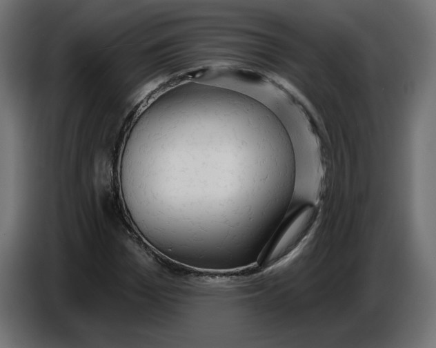 X0000086730969200705041344