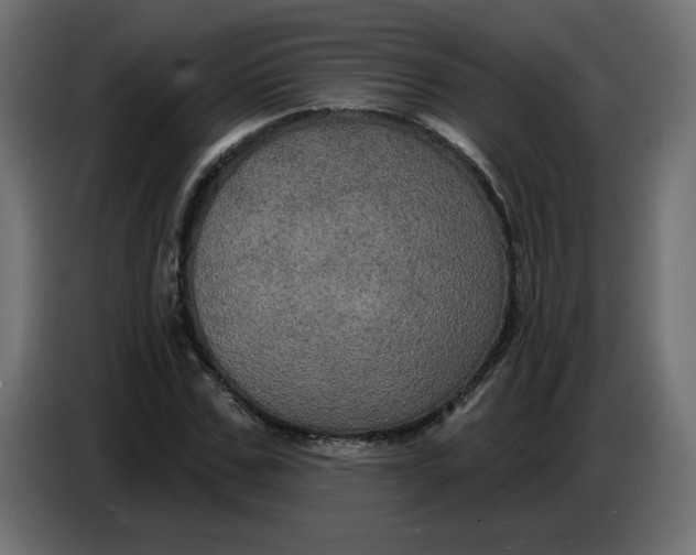 X0000086730971200705041344