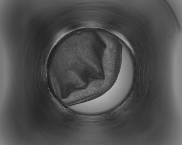 X0000086730972200705041344