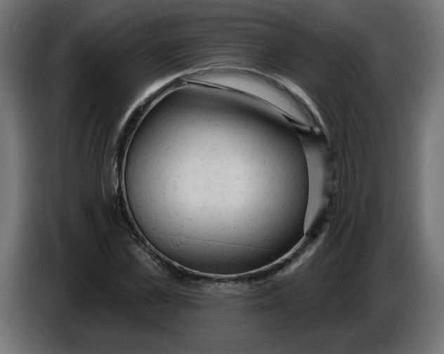 X0000086730973200705041344