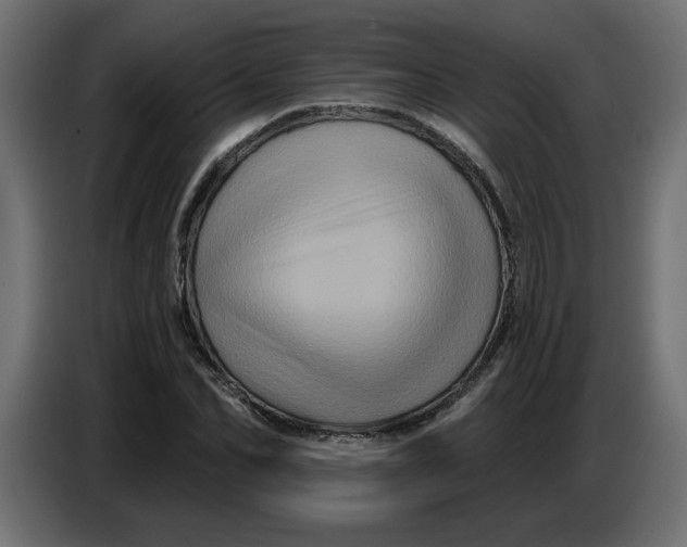 X0000086730974200705041344