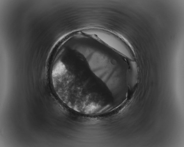 X0000086730975200705041344