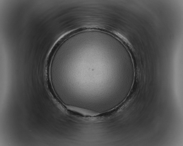 X0000086730976200705041344