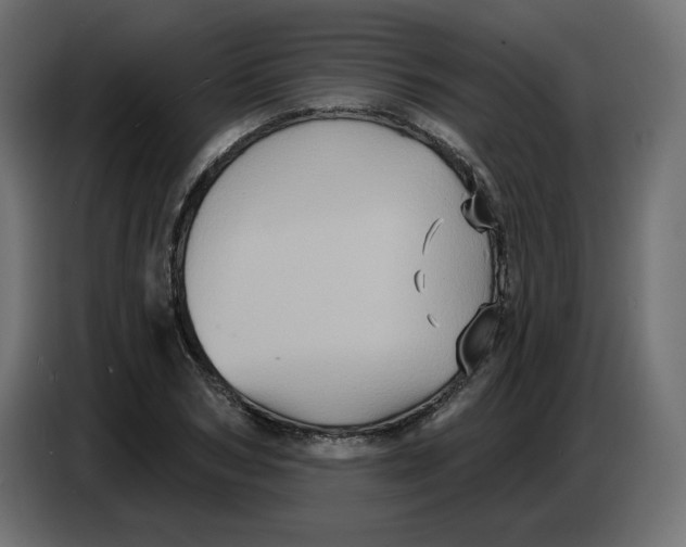 X0000086730978200705041344