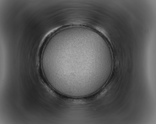 X0000086730979200705041344