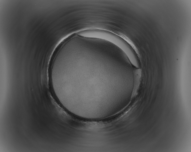 X0000086730980200705041344