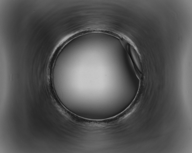 X0000086730981200705041344