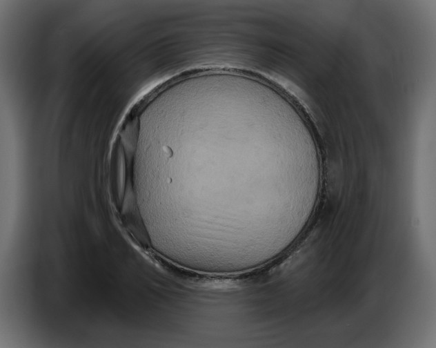 X0000086730982200705041344