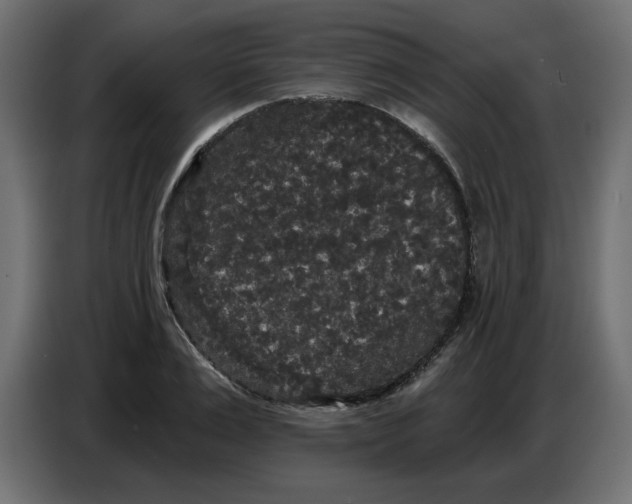 X0000086730983200705041344