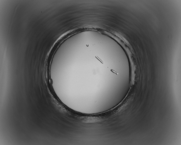 X0000086730984200705041344