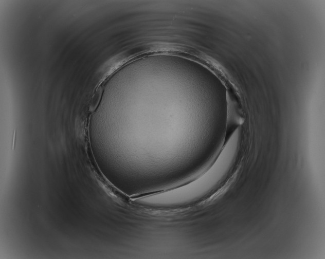 X0000086730985200705041344