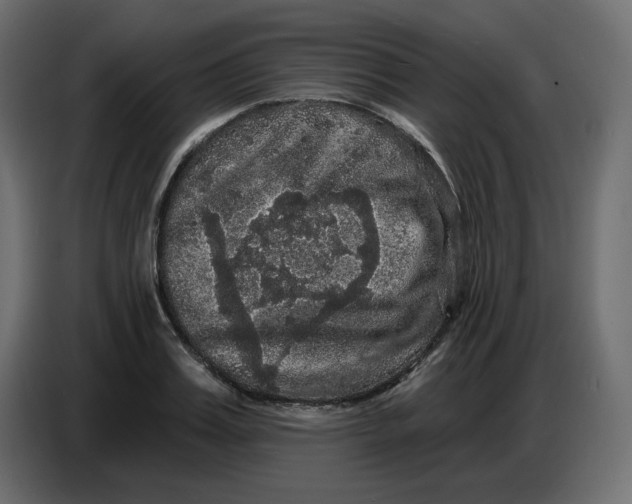 X0000086730987200705041344