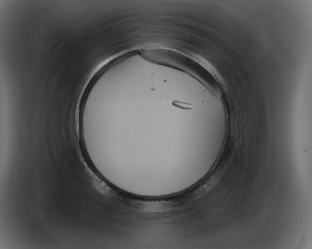 X0000086730988200705041344