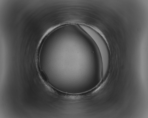 X0000086730989200705041344