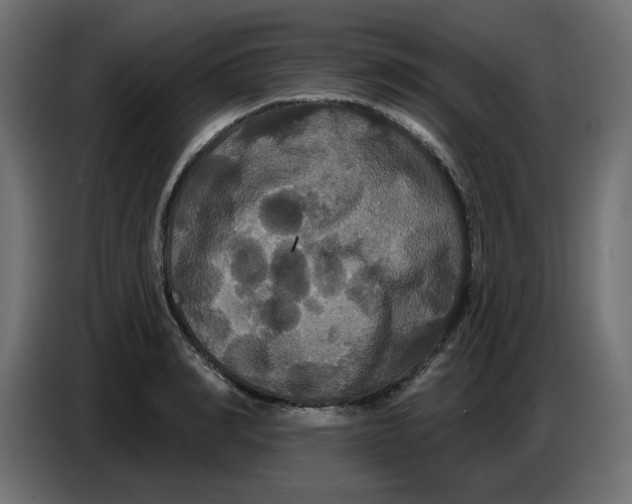 X0000086730990200705041344