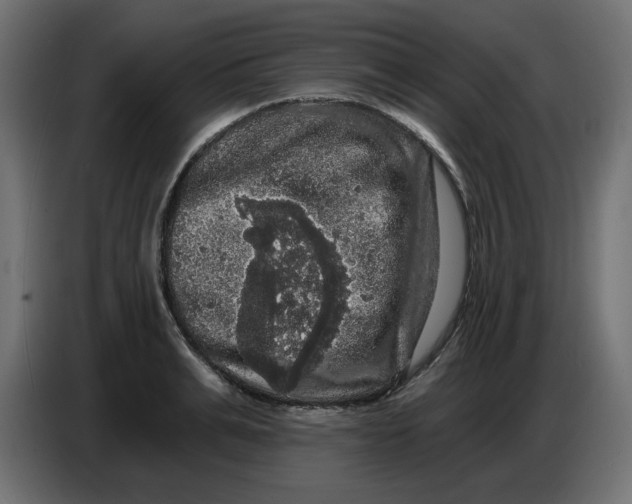 X0000086730991200705041344