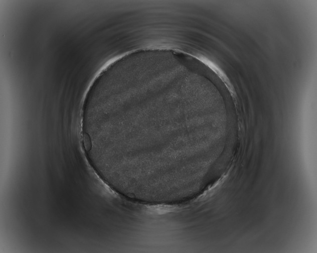 X0000086730992200705041344