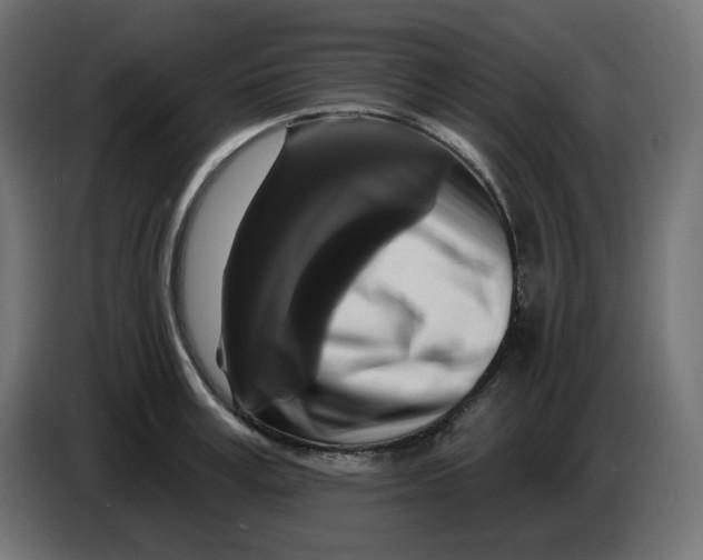 X0000086730995200705041344