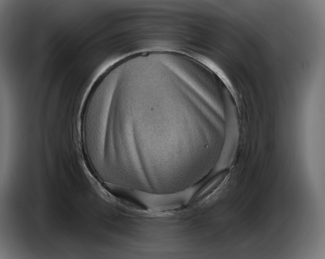 X0000086730996200705041344