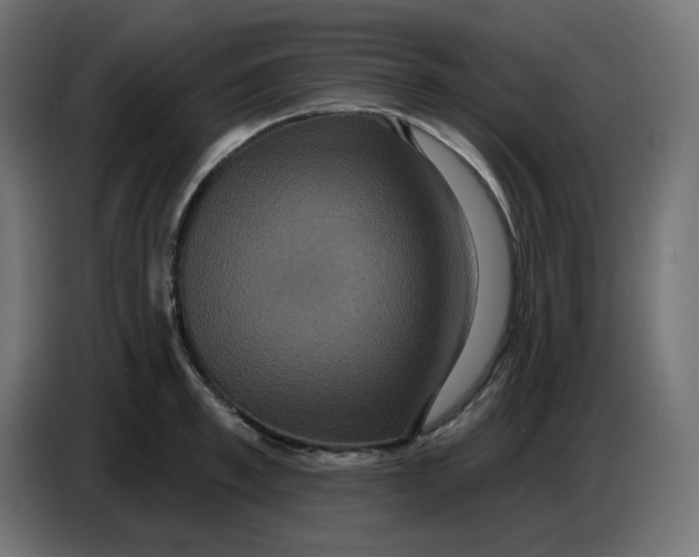 X0000086730997200705041344