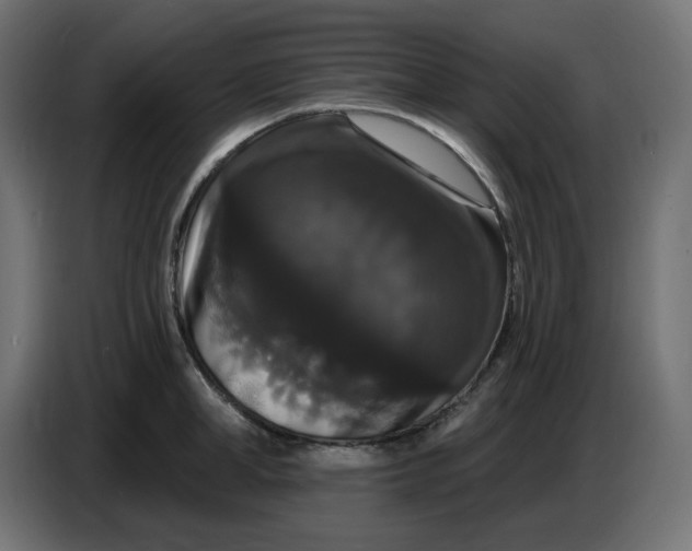 X0000086730998200705041344