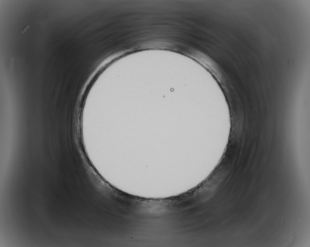 X0000086731000200705041344