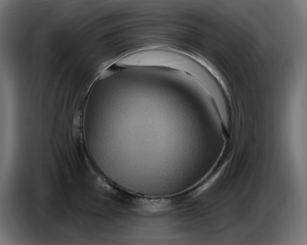 X0000086731001200705041344