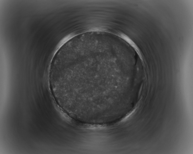 X0000086731002200705041344