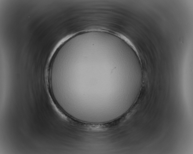 X0000086731003200705041344