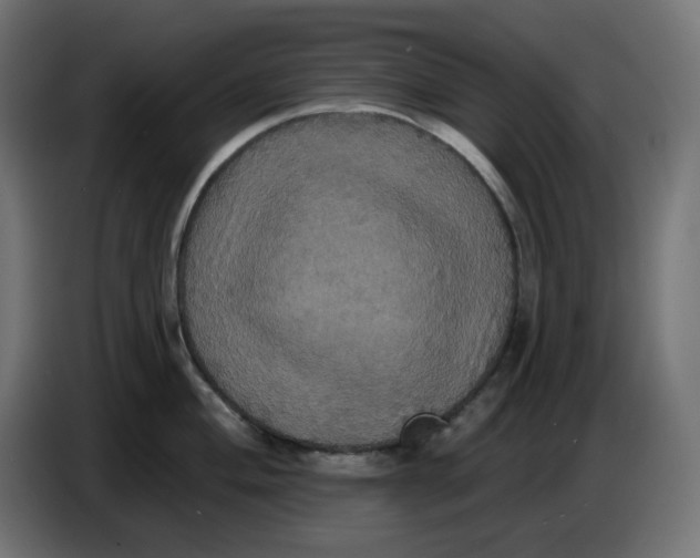 X0000086731004200705041344