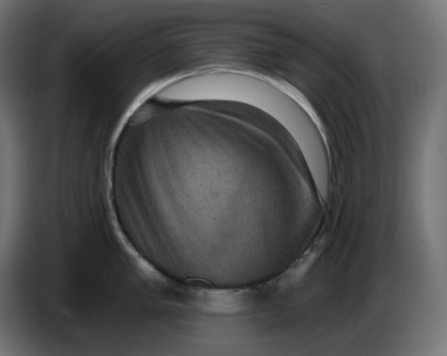 X0000086731005200705041344