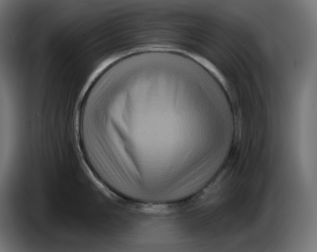 X0000086731006200705041344