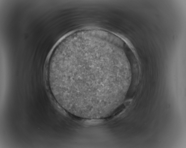 X0000086731008200705041344