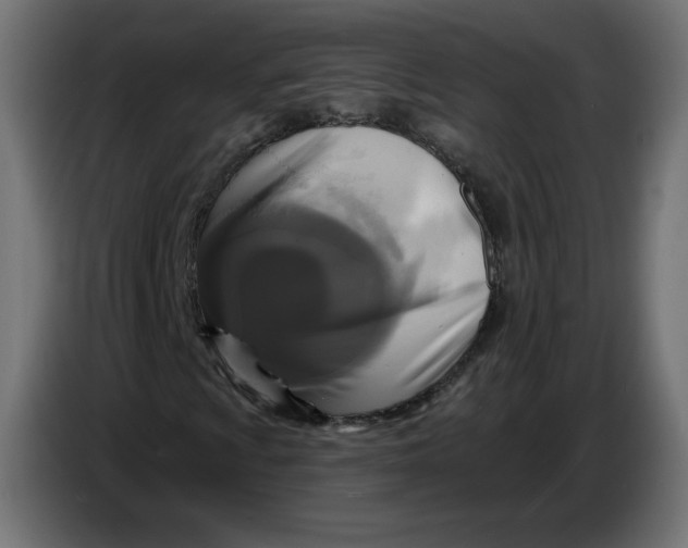 X0000086731009200705041343