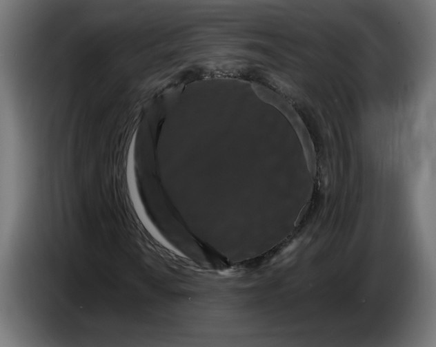 X0000086731010200705041343