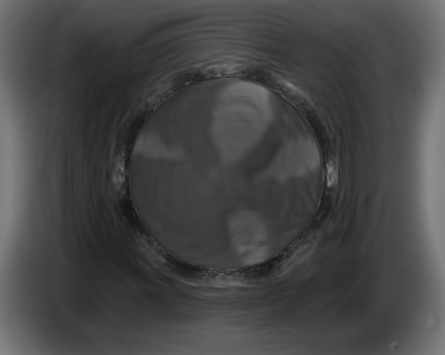 X0000086731011200705041343