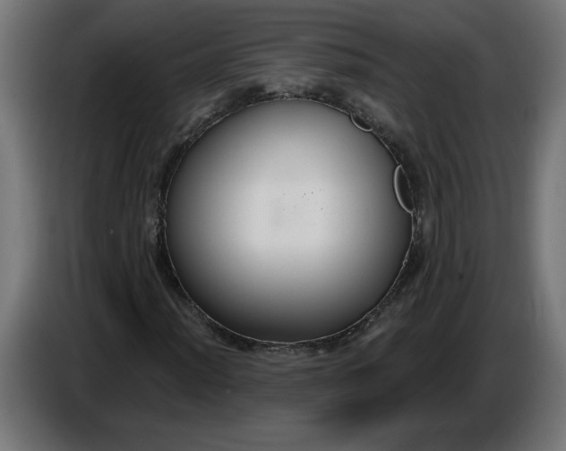 X0000086731012200705041343